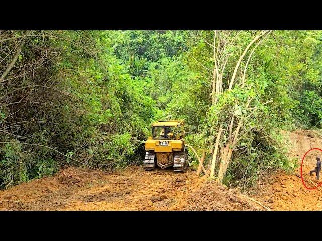 Heavy Equipment Bulldozer Working Caterpillar Dozer Operator Opening Plantation Road