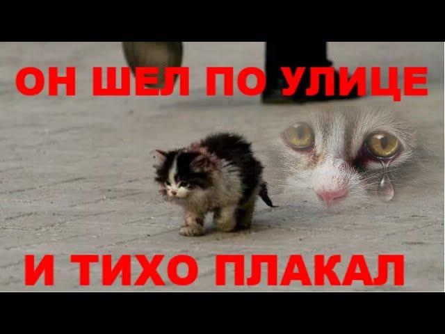 ОН ШЁЛ ПО УЛИЦЕ И ТИХО ПЛАКАЛ ОЧЕНЬ ГРУСТНОЕ ВИДЕО ДО СЛЁЗ