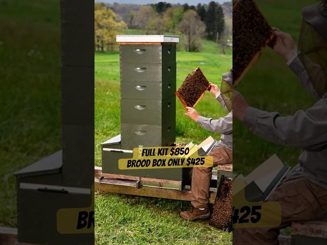 How much is The Keeper’s Hive? #beekeeping #beekeeper #bees #beehive #keepershive