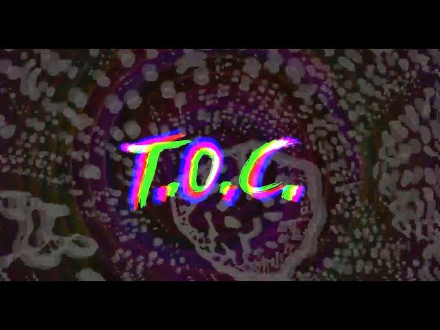 T.O.C. - Los Carpinteros ( Video Oficial TOC )