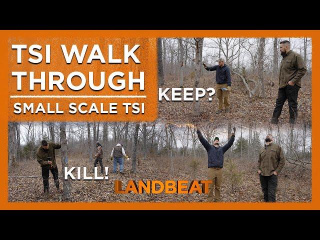 Small Scale Timber Stand Improvement! | TSI Walk Through