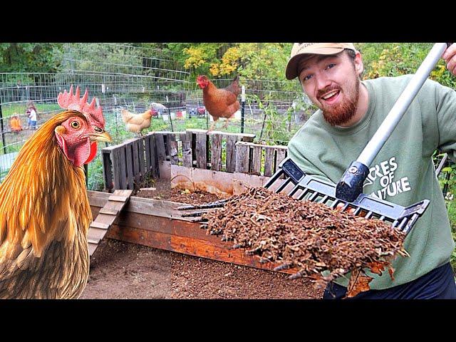 The SECRET Chicken Run Trick For Great COMPOST