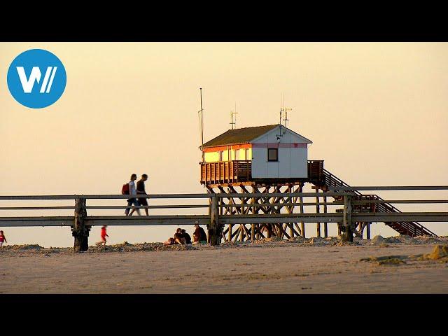 Küsten des Nordens (2/6): Von Hamburg zu den Halligen | Dokuserie über Nord- und Ostsee