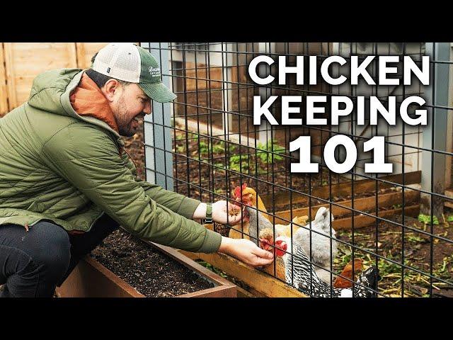 Watch This BEFORE You Keep Chickens 