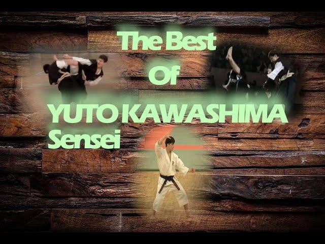 SHORINJI KEMPO THE BEST of YUTO KAWASHIMA SENSEI