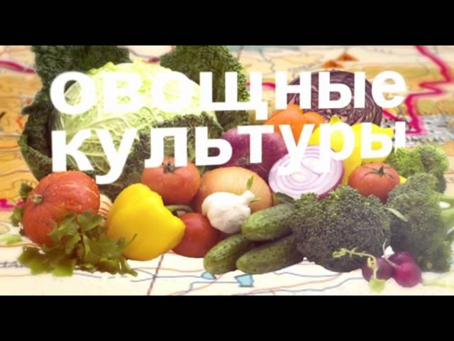 Большие города. Акмол