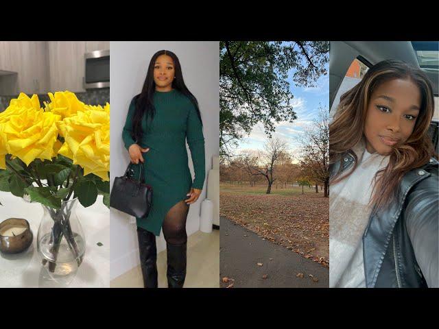 Vlog | Alone But Not Lonely...,Spa Day in New Jersey, Going Out etc | Alicia Kim