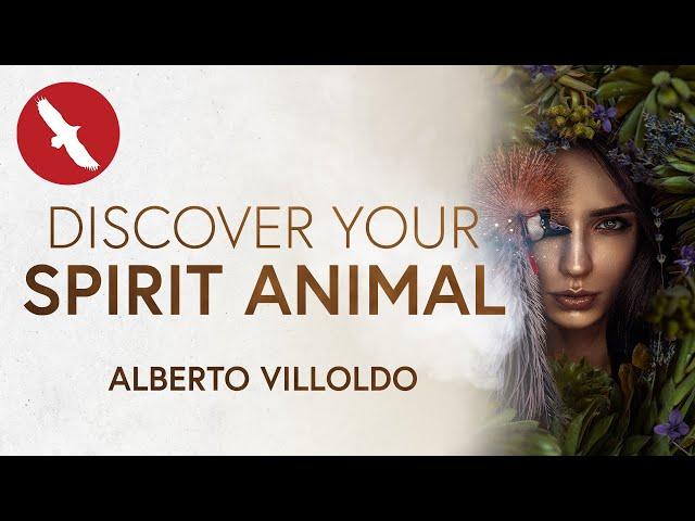 Discover YOUR SPIRIT ANIMAL