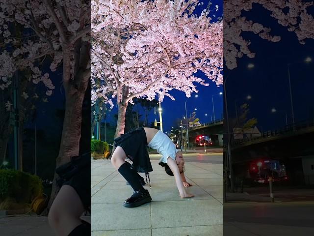 핑크 벚꽃아래서  이거 가능??#춤추는곰돌 #블랙핑크챌린지#랜덤플레이댄스 #kpoprpd #kpopdance #블랙핑크 #킬디스러브