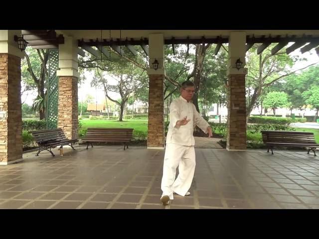 Yang Style TaiChi Form 108