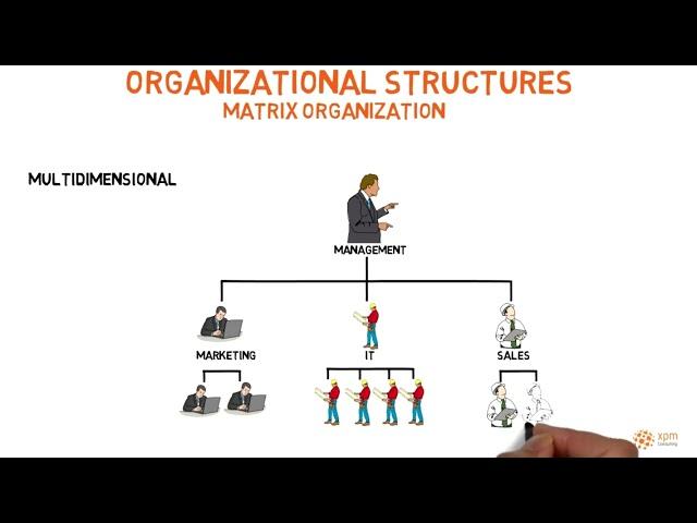 Organizational structures in project management