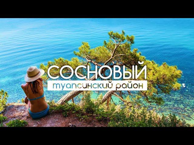 СОСНОВЫЙ Туапсе - место, куда хочется вернуться!