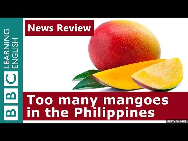 Mango surplus in the Philippines: BBC News Review