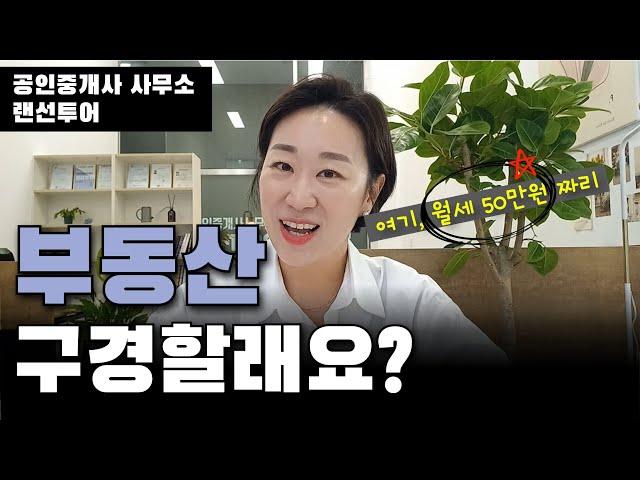 공인중개사 사무소 랜선 투어 ｜공인중개사 vlog 4