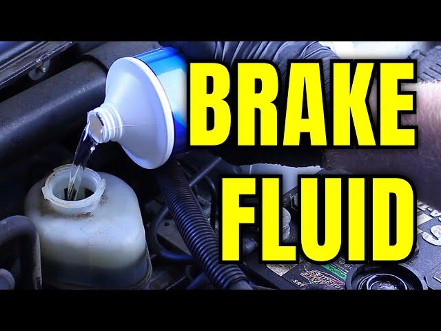 Brake Fluids Explained: Types, Compatibility, & Lifespan!