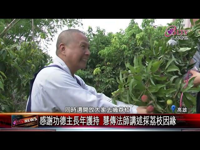 20250528佛光山總本山集體出坡 慧傳法師帶領僧眾採荔枝｜@FGSBLTV