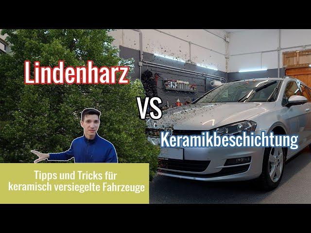 Keramikbeschichtung VS LINDENHARZ  | Extremtest | Maximum Shine