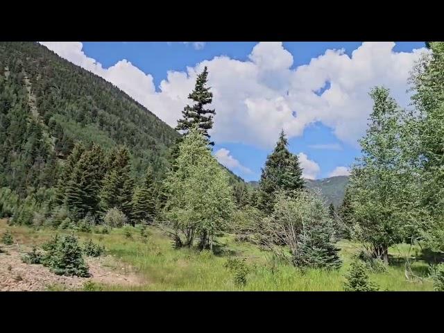 Gorgeous Mountain Ranch for sale in Jasper, CO. 53 riverfront acres with home and water rights.