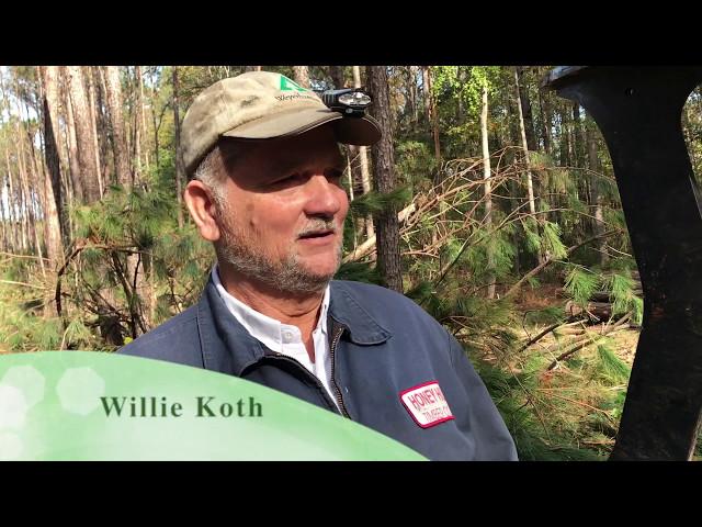 Honey Hill Timber Company Logging Spring Island
