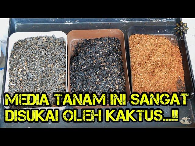 Cara Meracik Media Tanam Kaktus dan Penjelasannya