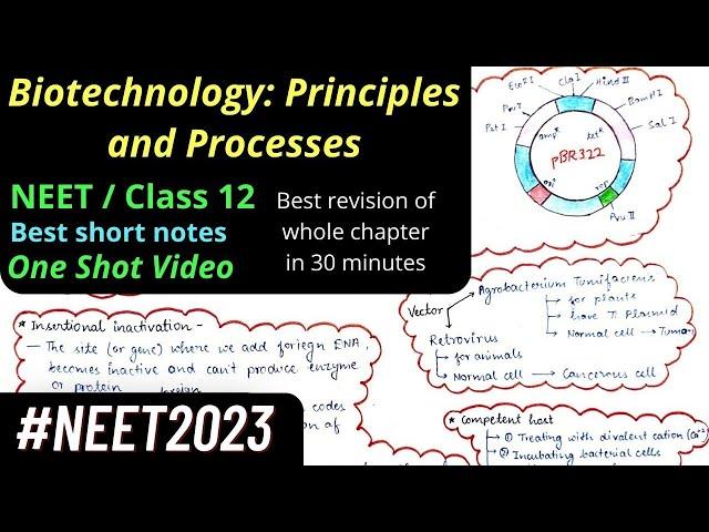 Biotechnology: Principles and Processes Mind map NEET Class 12 One shot revision #neet2022