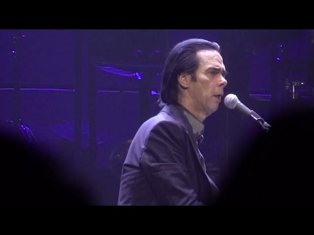 Nick Cave - Into My Arms -Live@Accor Arena - Paris - 17/11/2024