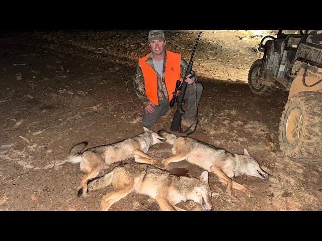 A Deer hunt turned into a COYOTE hunt! 11/23/24