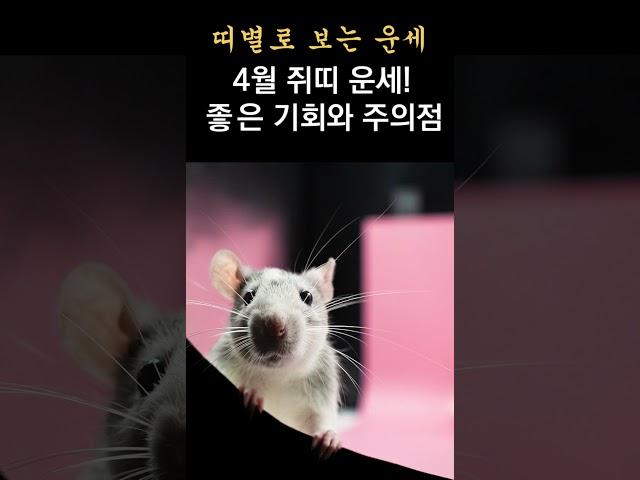 2025년 4월 운 좋은 쥐띠 운세! 이것을 미리 알면, 운의 흐름을 좋게 할 수 있습니다! 띠별로 보는 한달간 운세!  #띠별운세