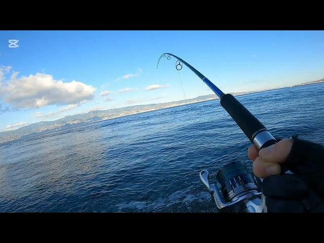 Shore jigging ! Mi diverto un'oretta con il metal jig Hypno Cast