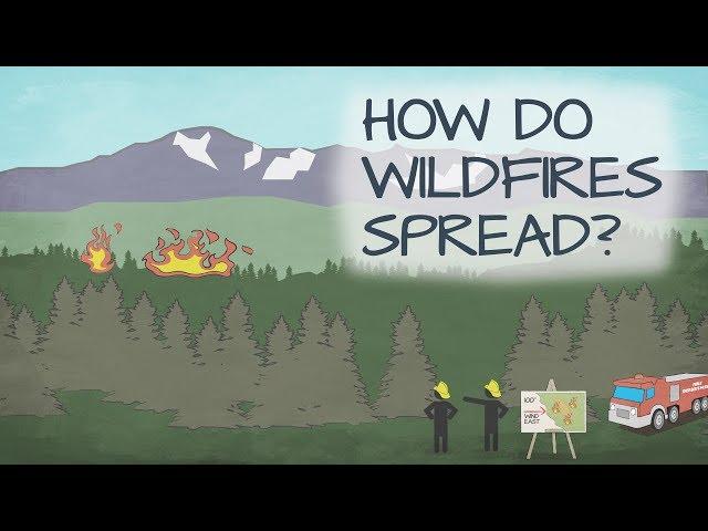 How Do Wildfires Spread?