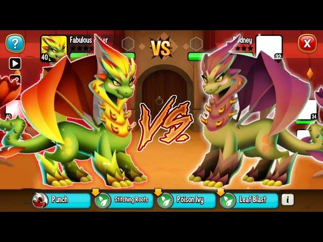 Nature Dragon VS Autumn Dragon ! Who's Better?