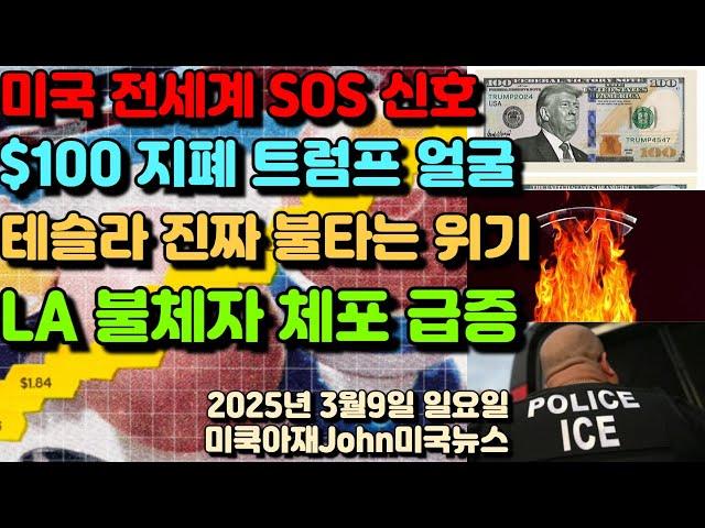 미국 전세계 SOS 신호! 한달안에 계란 1억개! $100 달러 지폐 $250 트럼프 얼굴! 테슬라 진짜 불타는 위기! $100 아래 폭락도! LA 불체자 불법이민자 체포 급증!