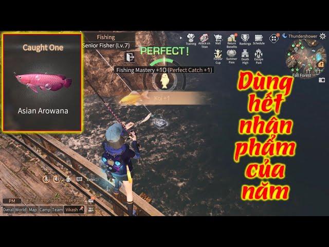 Fishing Koi and Asia Arowana | Dùng hết nhân phẩm của năm để câu 2 con cá hiếm trong Lifeafter