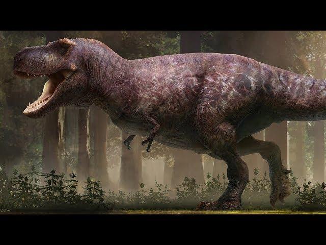 The Most Accurate T. rex Ever Reconstructed?