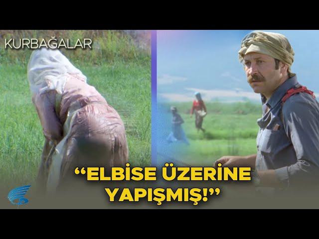 Kurbağalar Türk Filmi | "Elbise Üzerine Yapışmış"