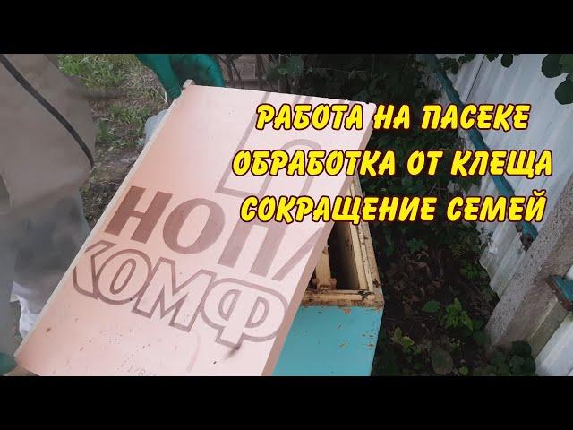 пчеловодство, работа на пасеке обработка от клеща и сокращение семей