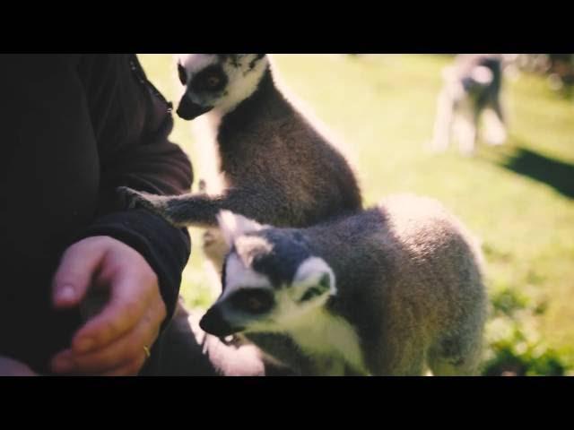 Hamilton Zoo - Meet The Keeper - Catherine Nichols