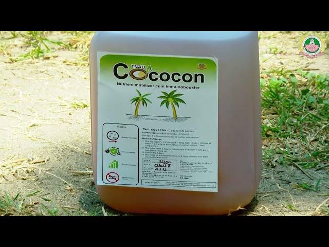 Cococon