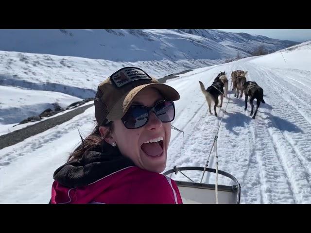 Winter dogsledding at Alaskan Husky Adventures