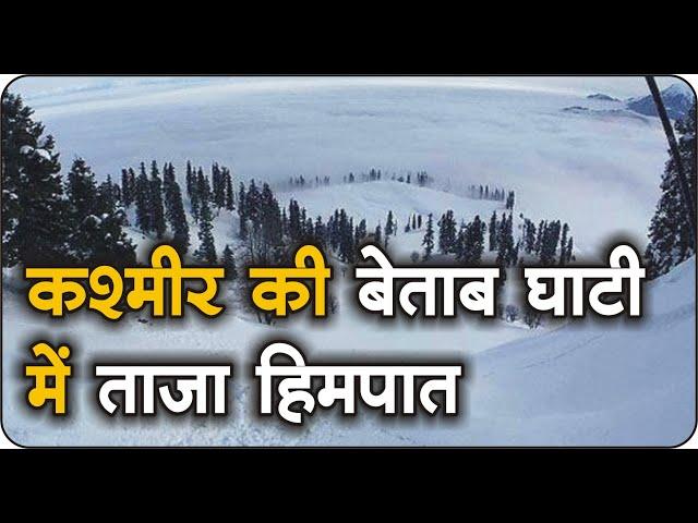 #snowfall कश्मीर की बेताब घाटी में ताजा हिमपात पर्यटकों के लिए आकर्षण का केंद्र बना। #ghumogbharke