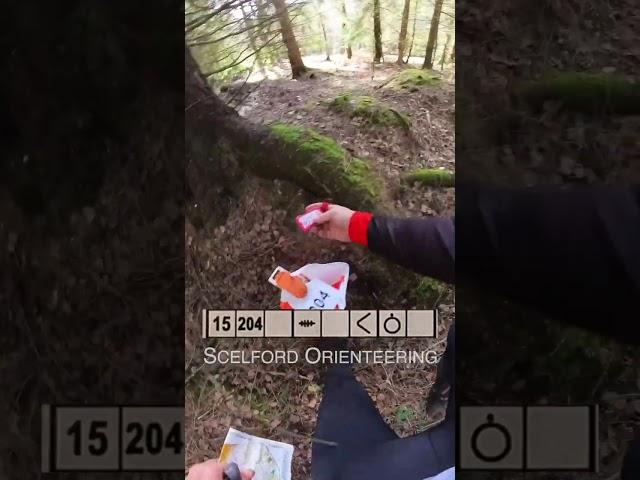 Orienteering - Long Beech in Dorset