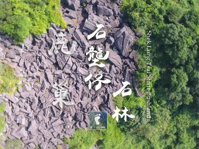 奇幻佈局 － 石壟仔石林 (Shek Lung Tsai Stone Bushland) [4K航拍]