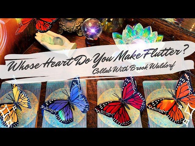 Pick a Card  You Give THIS Person Butterflies  Find Out Why!