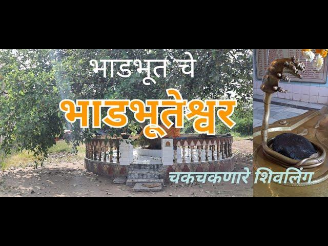 भाडभूतेश्वर | रंगावधूत | Bhadbhut Temple | RangaAvadhut| Day 8 part 7  Narmada Parikrama by Car 2021