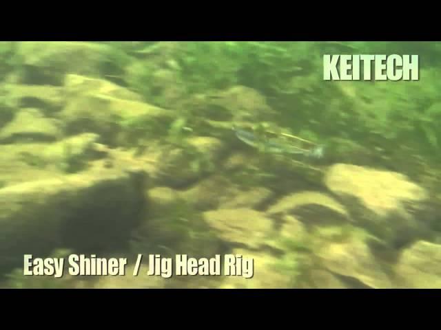 Easy Shiner - Jig Head Rig