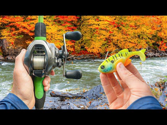 Fishing UNRELEASED Lures For GIANT Fall Bass (Multiple Big Fish)