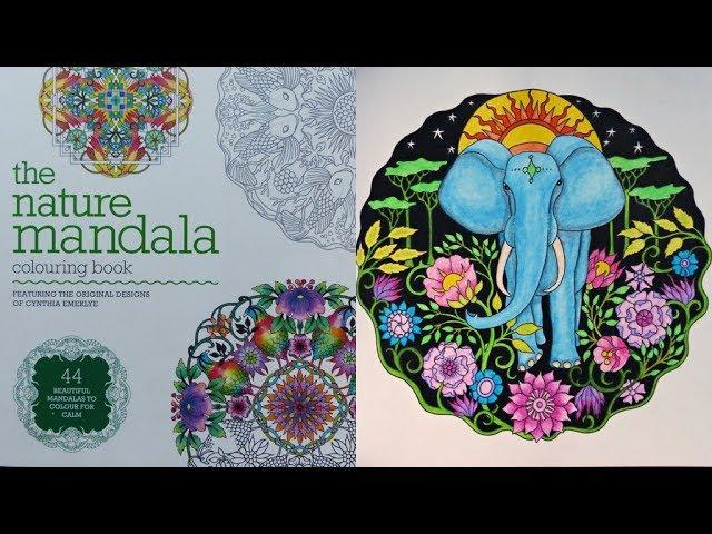 THE NATURE MANDALA flip through, by Cynthia Emerlye