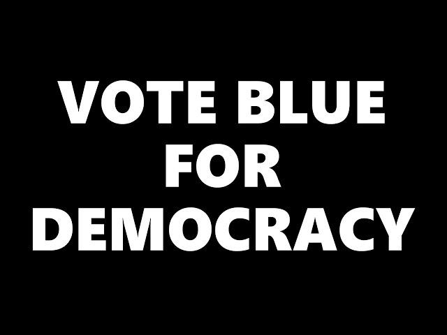 Democracy (Britney POM Parody) #VOTEBLUE