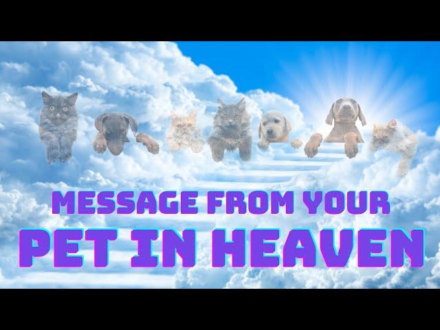 Message from Your Pet in Heaven