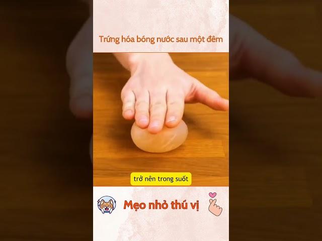 Trứng hóa bóng nước sau một đêm #meonhothuvi